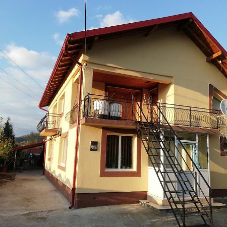 Casa Lidia Si Gogu Otel Budeasa Mare Dış mekan fotoğraf