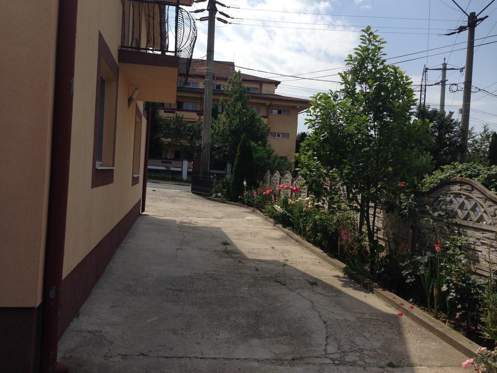 Casa Lidia Si Gogu Otel Budeasa Mare Dış mekan fotoğraf