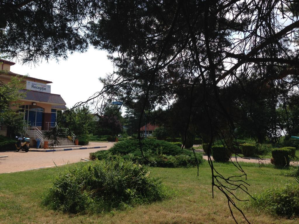 Casa Lidia Si Gogu Otel Budeasa Mare Dış mekan fotoğraf