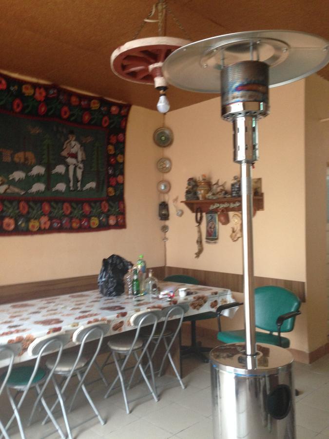 Casa Lidia Si Gogu Otel Budeasa Mare Dış mekan fotoğraf