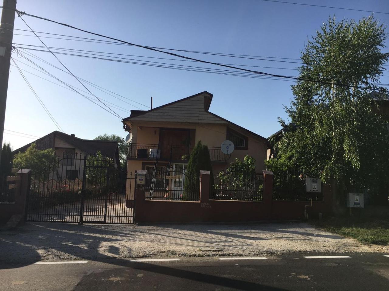 Casa Lidia Si Gogu Otel Budeasa Mare Dış mekan fotoğraf