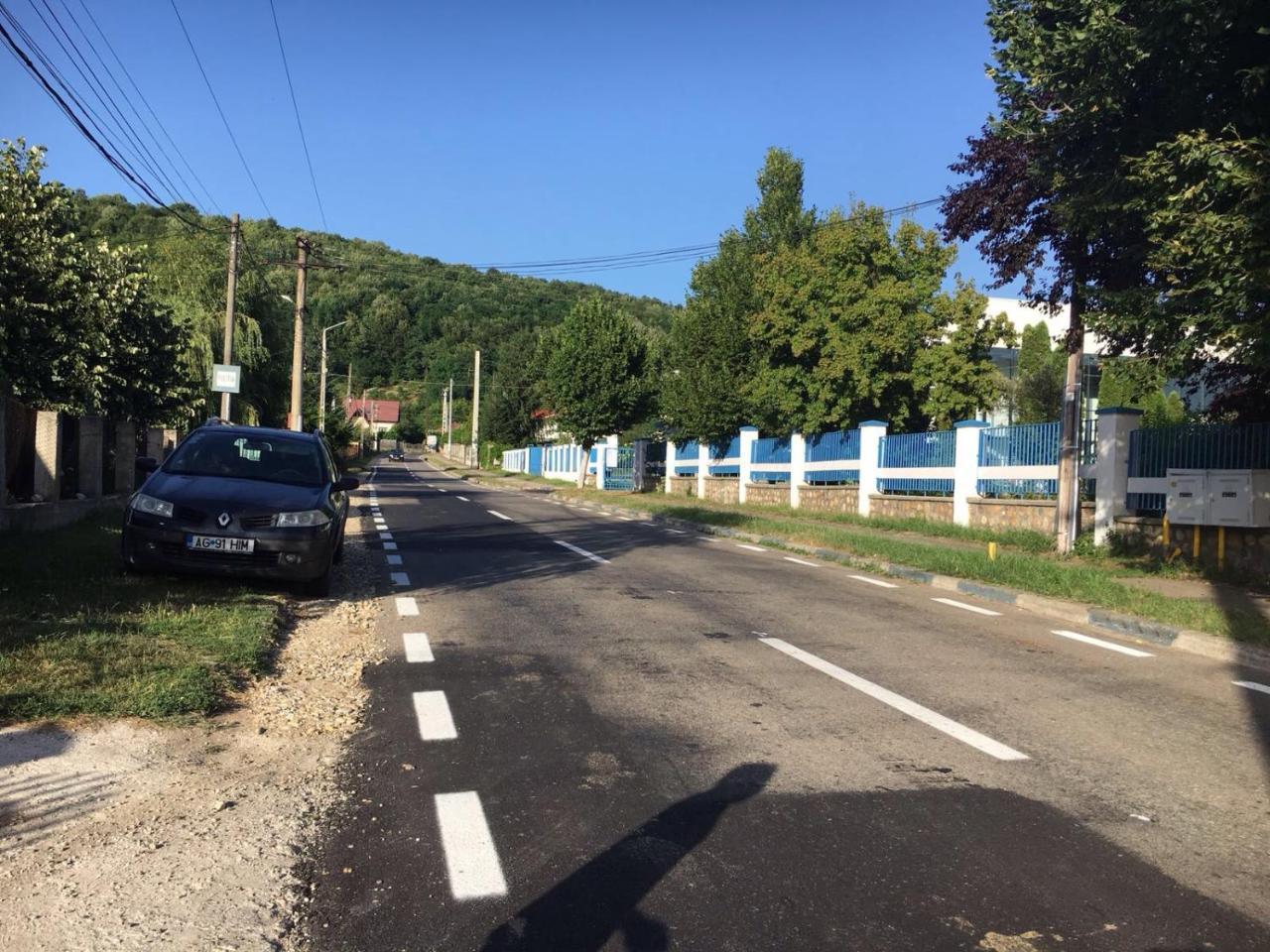Casa Lidia Si Gogu Otel Budeasa Mare Dış mekan fotoğraf
