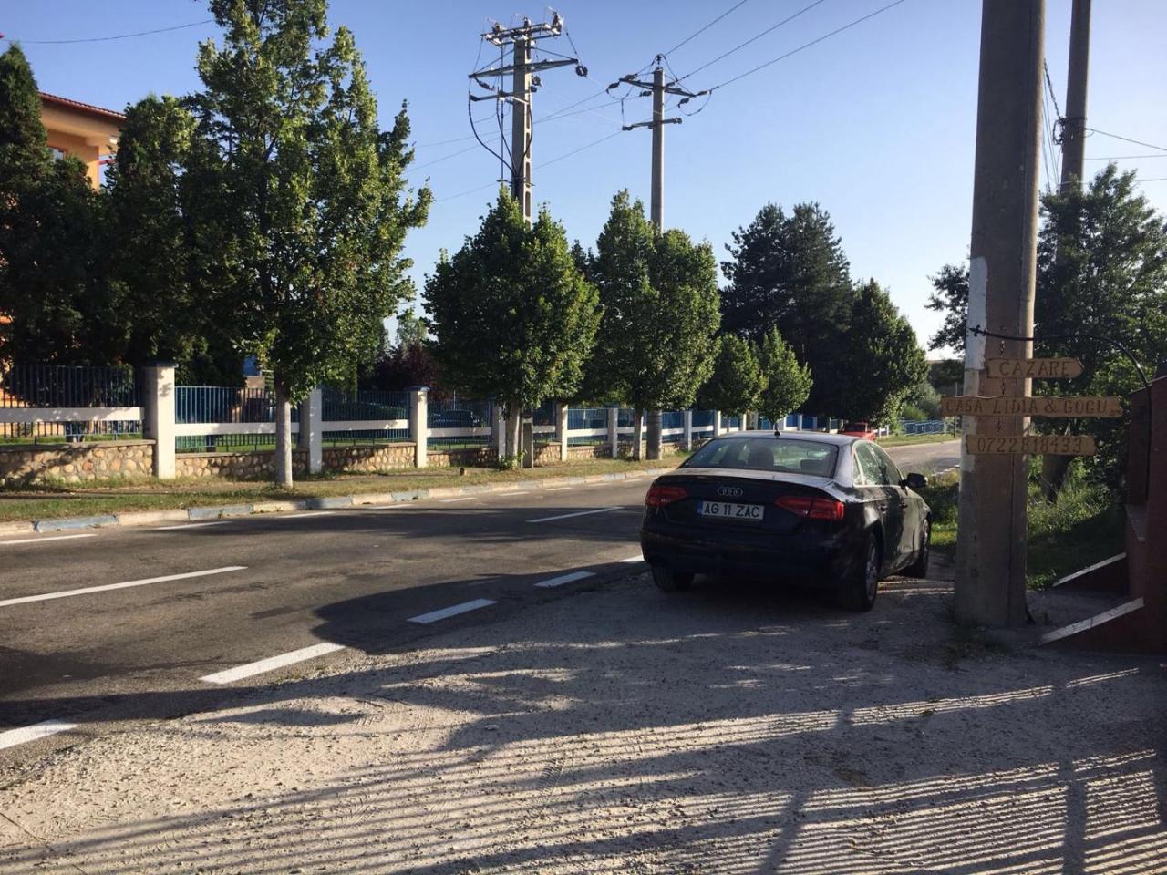 Casa Lidia Si Gogu Otel Budeasa Mare Dış mekan fotoğraf
