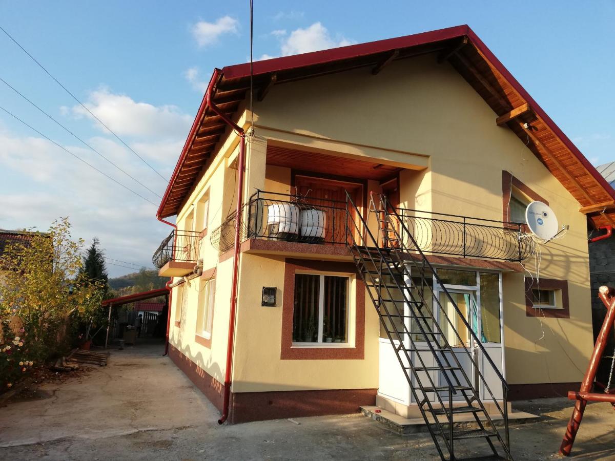 Casa Lidia Si Gogu Otel Budeasa Mare Dış mekan fotoğraf